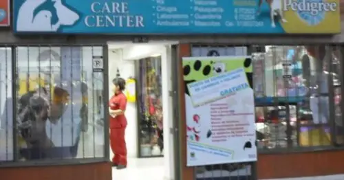 CLINICA VETERINARIA ANIMALS CARE CENTER BOGOTÁ CLINICA VETERINARIA ANIMALS CARE CENTER BOGOTÁ